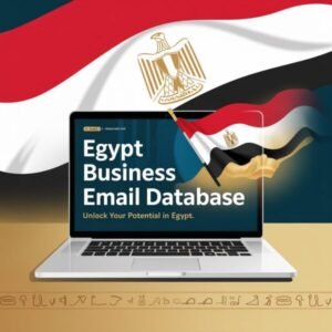Egypt Business Email List Database